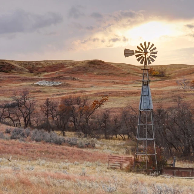 Open Range