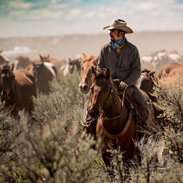 Ranch Hand